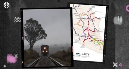 Estas son las vías del tren que el gobierno de AMLO le expropió a Larrea