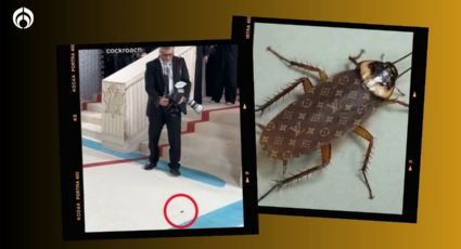 Met Gala 2023: cucaracha se cuela en la alfombra del evento de moda y desata MEMES