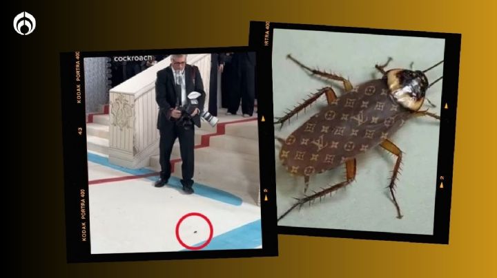 Met Gala 2023: cucaracha se cuela en la alfombra del evento de moda y desata MEMES