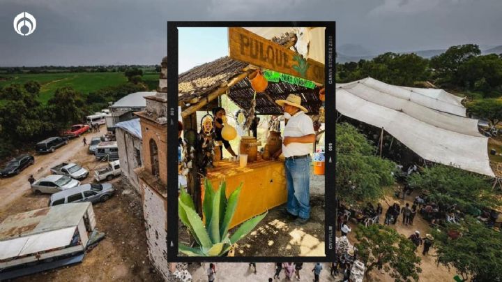 Festival del Pulque: ¿Dónde y cuándo será el evento dedicado a la bebida de los dioses?