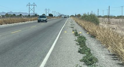 Exhortan a Junta de Caminos atender contaminación en carreteras estatales