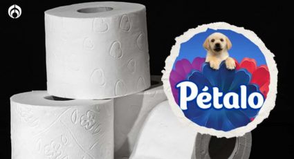 Estas marcas de papel de baño son mejores que Pétalo, según Profeco