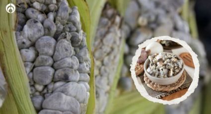 ¿Qué significa la palabra huitlacoche y por qué se llama así el alimento mexicano?