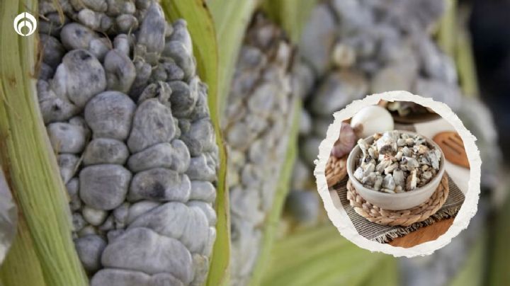 ¿Qué significa la palabra huitlacoche y por qué se llama así el alimento mexicano?