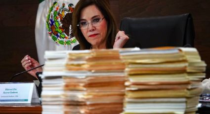 Casi 5 mil pendientes del INAI: Blanca Lilia Ibarra exhibe falta de acceso a la información tras 50 días de parálisis