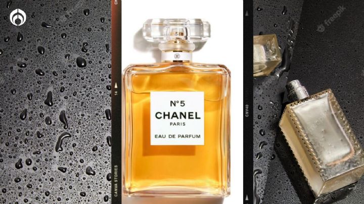 Perfume Chanel Nº 5: esta es su versión baratísima con la que olerás rico todo el día