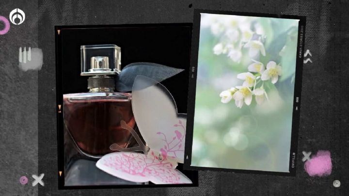 Estos son los 10 perfumes florales más ricos de Fraiche