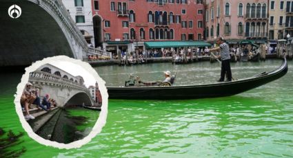 (FOTOS) Aguas de Venecia 'se pintan' de verde... ¿son peligrosas para la salud?