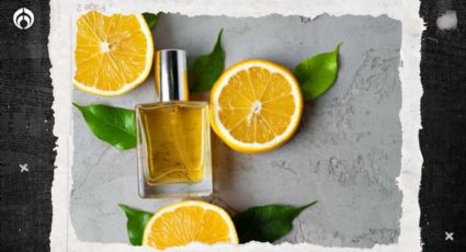 Estos son los 8 perfumes cítricos más frescos y duraderos de Fraiche