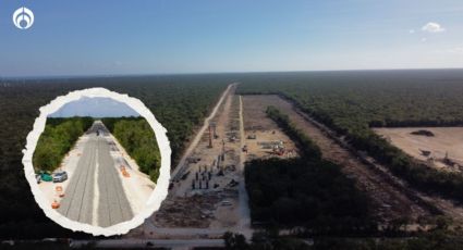 Tren Maya: así ha sido la tala de árboles en la selva (FOTOS)