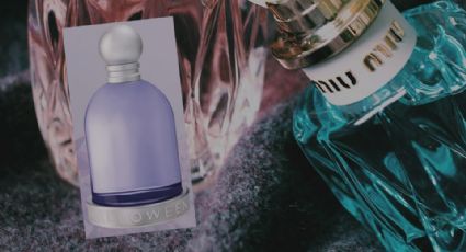 La historia del perfume Halloween; te decimos su precio y a qué huele