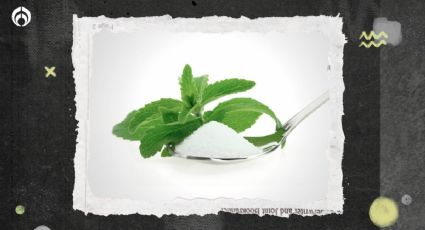 ¿Qué tan saludable es comer Stevia?