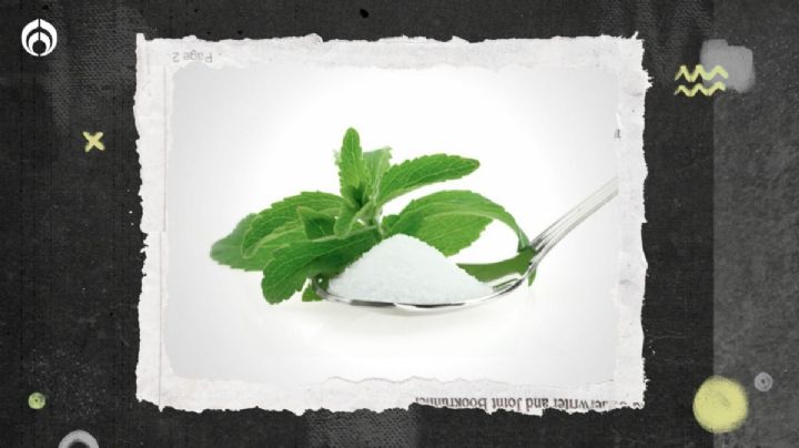 ¿Qué tan saludable es comer Stevia?