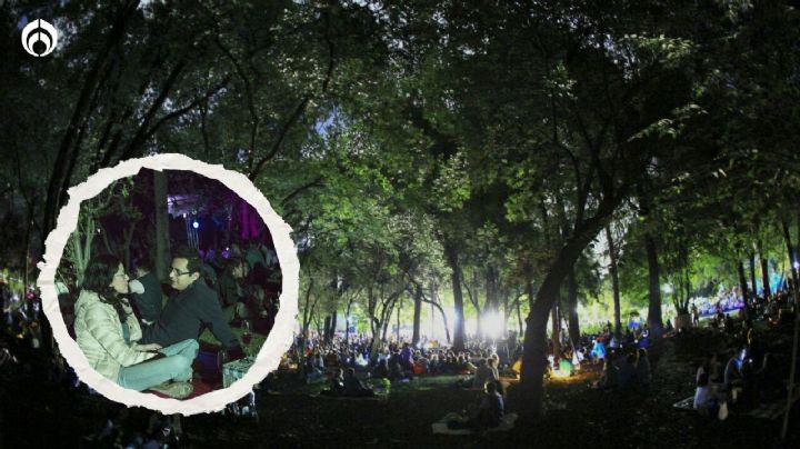 Plan tranqui en Chapultepec: vuelven los picnics nocturnos