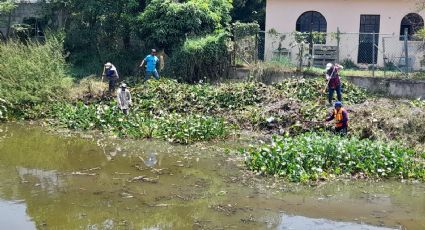 Relajan labores en hora pico para evitar golpes de calor a empleados del servicio público