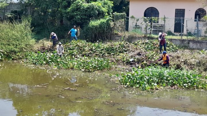 Relajan labores en hora pico para evitar golpes de calor a empleados del servicio público