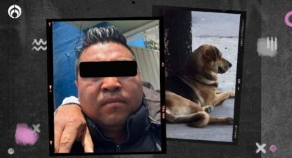 Agresor del perrito de Tecámac era policía de la CDMX; ya fue suspendido