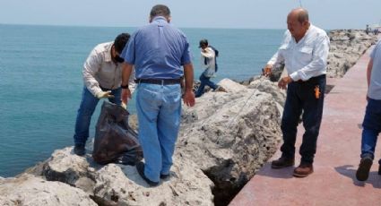 Aparece tortuga en peligro de extinción muerta en escolleras de Playa Miramar