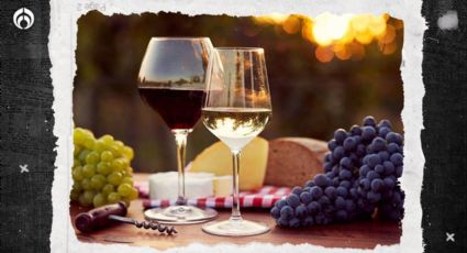 Vino tinto vs. vino blanco: esta es la temperatura ideal para beber cada uno