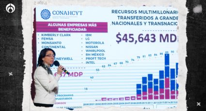 El malentendido de Álvarez-Buylla: ¿Qué fue de los 45 mil mdp del Conacyt para financiar un empaque de pizza?