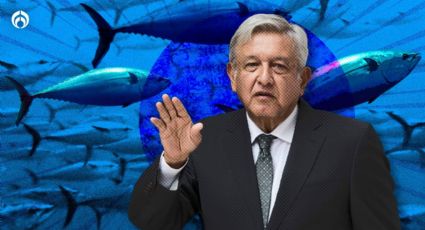 ¿Alguien puede pensar en los peces? Iniciativa de AMLO pone en riesgo producción y hasta a especies marinas