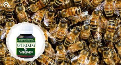 ¿Usas productos con apitoxina? Podrías poner en riesgo tu vida, según Cofepris