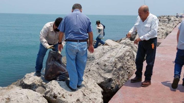 Aparece tortuga en peligro de extinción muerta en escolleras de Playa Miramar