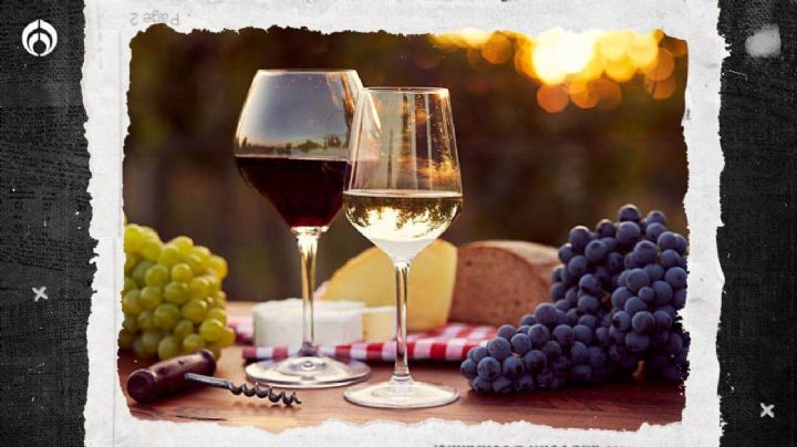 Vino tinto vs. vino blanco: esta es la temperatura ideal para beber cada uno