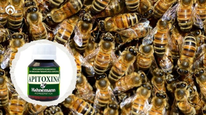 ¿Usas productos con apitoxina? Podrías poner en riesgo tu vida, según Cofepris