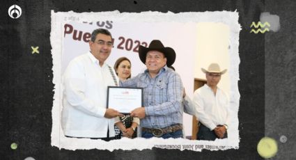 Puebla anuncia acciones para fortalecer a la ganadería y garantizar bienestar