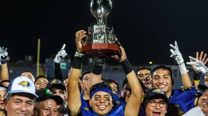 ¡Campeones! Auténticos Tigres se coronan en la categoría Intermedia