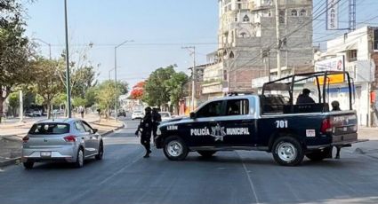 Incautación de drogas en León registró un pico máximo el pasado mes de abril