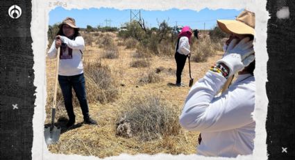 Restos hallados en desierto de Sonora no son del hijo de madre buscadora: Fiscalía