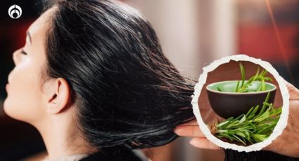 ¿Quieres oscurecer tu cabello? Este es el ingrediente natural que te ayudará a lograrlo