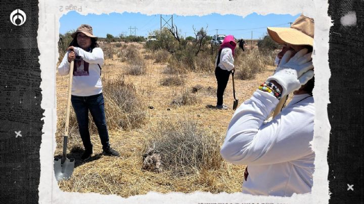 Restos hallados en desierto de Sonora no son del hijo de madre buscadora: Fiscalía