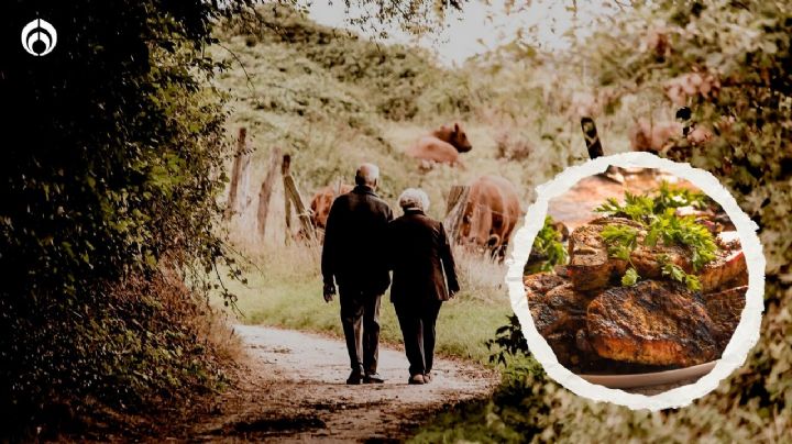 ¿A qué edad se debe dejar de comer carne? Esto dicen los expertos