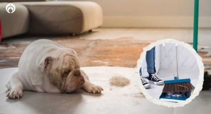 El truco con la escoba para limpiar más fácil y rápido el pelo de tu mascota