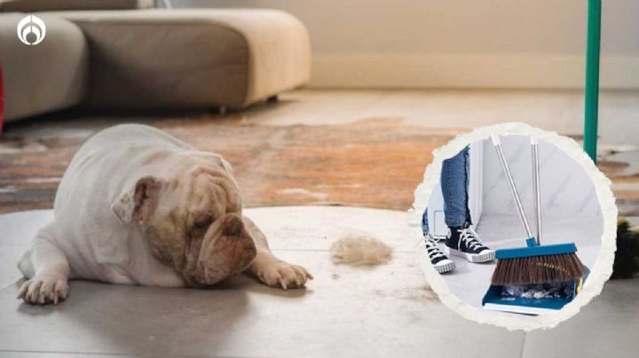 El truco con la escoba para limpiar más fácil y rápido el pelo de tu mascota