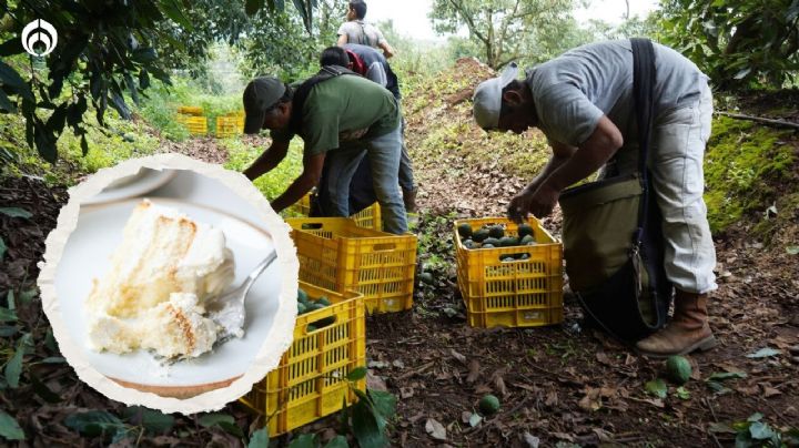 Al menos 40 jornaleros se intoxican tras comer un pastel en Aguascalientes