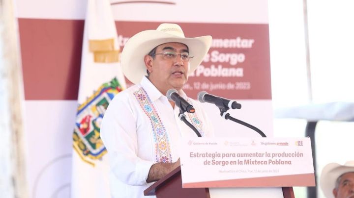 Céspedes Peregrina garantiza seguridad alimentaria en la Mixteca con la entrega de sorgo