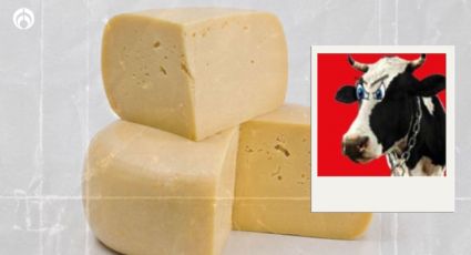 Este es el peor queso manchego mexicano, según Profeco