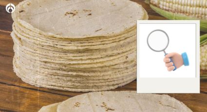 ¿No son de maíz? Tips  para identificar una tortilla de mala calidad