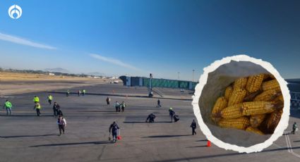 Aeropuerto de Culiacán: Cumple 40 horas de crisis por conflicto maicero con 4T