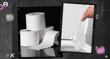 Papel de baño vs. toallitas húmedas: ¿qué es mejor para el aseo personal?