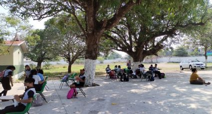 Ola de calor en Veracruz: alumnos toman clases al aire libre tras altas temperaturas en aulas