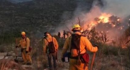 Atienden incendio forestal en Bacoachi; son 255 hectáreas afectadas hasta el momento