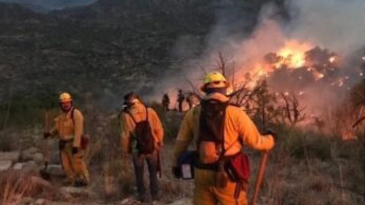 Atienden incendio forestal en Bacoachi; son 255 hectáreas afectadas hasta el momento