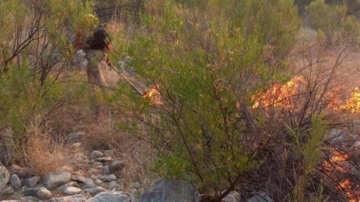 Incendio en Magdalena ha consumido 14 ranchos