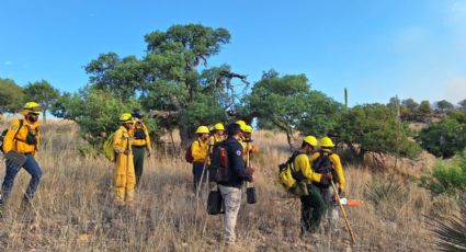 Incendio Forestal en Ímuris: control del siniestro alcanzó un 70% en la región