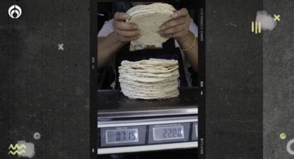 Tus tortillas serán sólo de maíz blanco: AMLO firmará acuerdo contra transgénicos